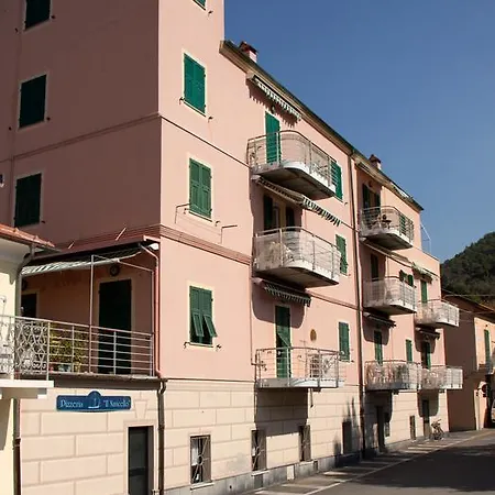 Cassiopea By The Sea